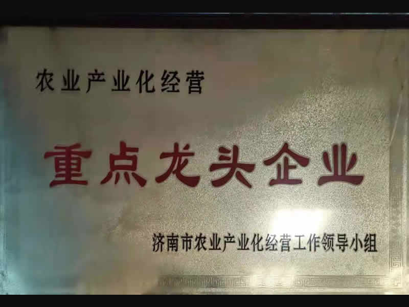 龍頭企業(yè)